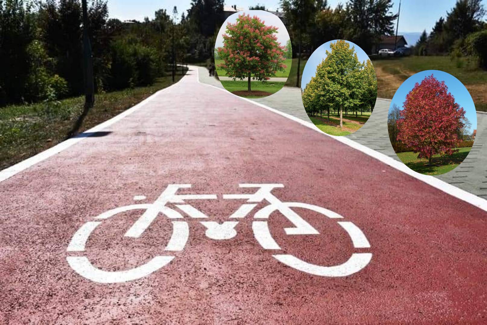 Gradu Donjem Miholjcu odobreno 350.000 € za izgradnju biciklističke staze i sadnju stabala